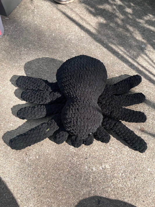 Suzie the Spider